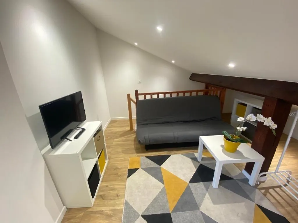 Apartment Studio Renove Proche Palais Des Sports Grenoble